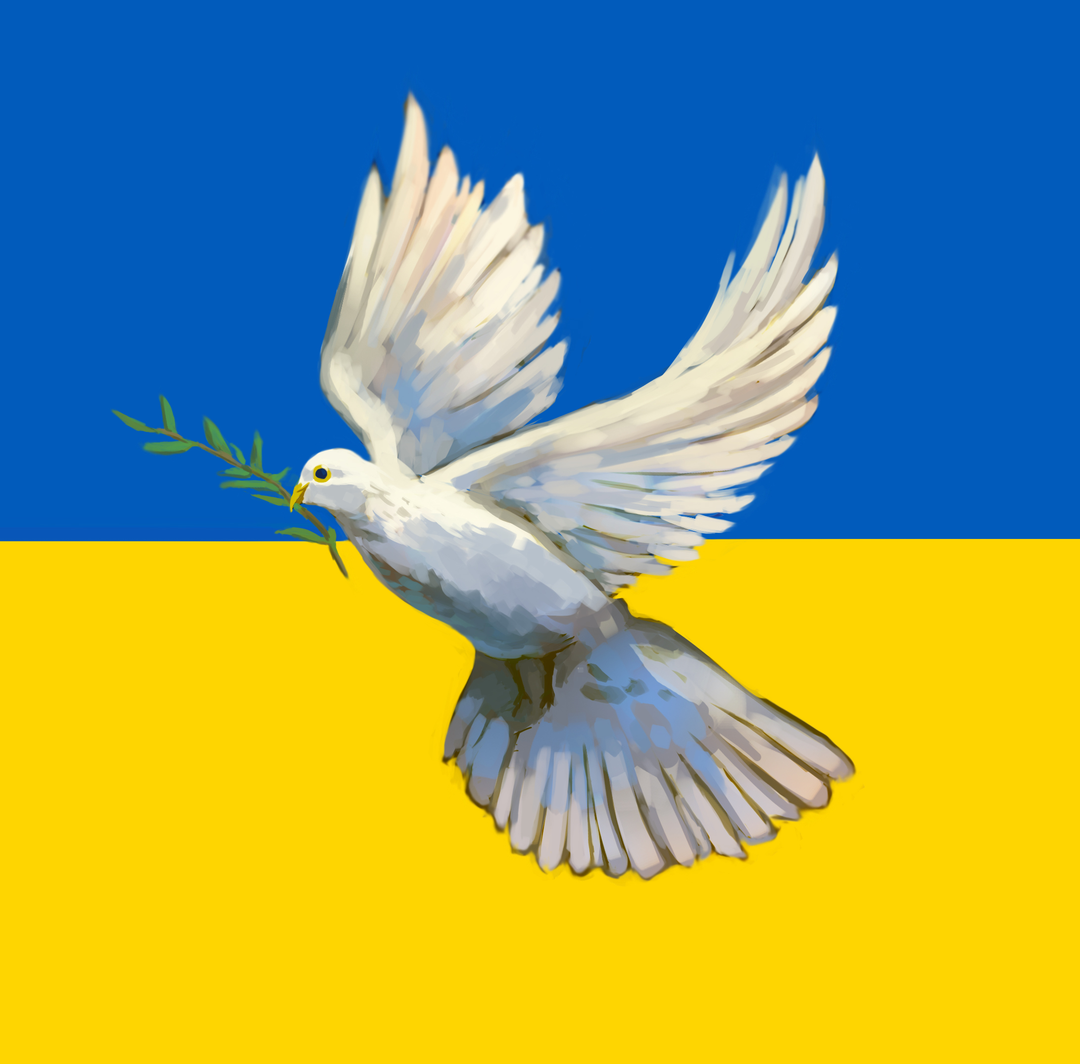 Kyyhkynen, jolla nokassaan oliivipuunoksa. Ukrainan lipun värit taustalla.